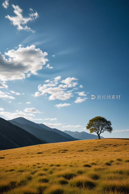 田野里一棵孤树一座高山清风景图片