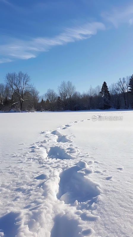 雪地小径冬日美景