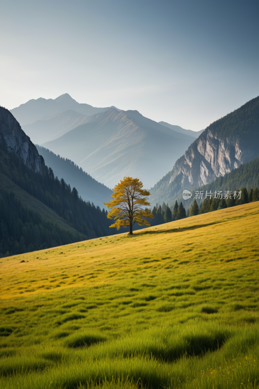 山脉一棵孤独的树高清风景图片