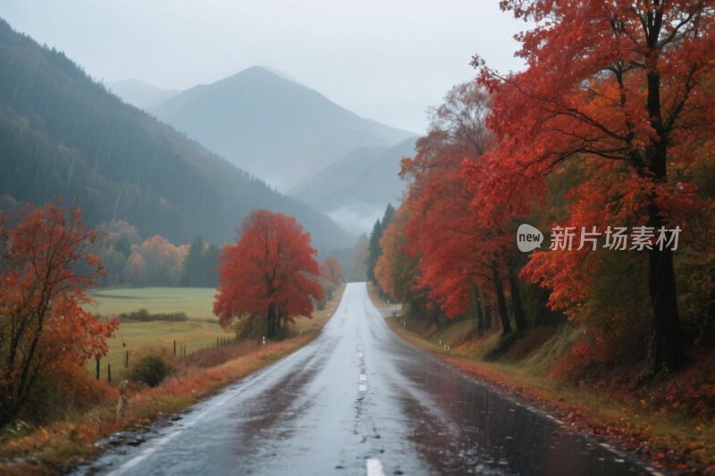 秋日雨中的山间公路美景
