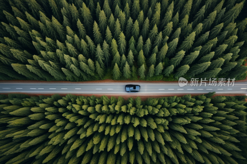 一辆汽车在穿过森林的道路上行驶的鸟瞰图