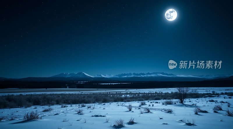 月下雪原