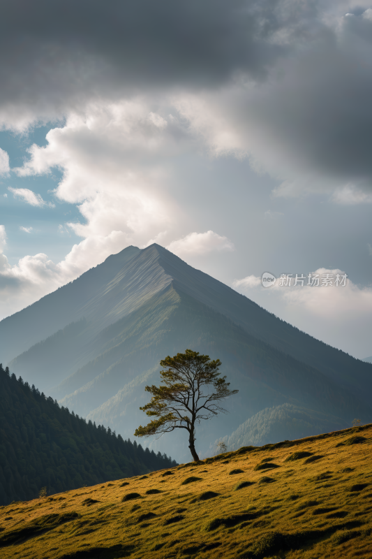 山脉草山上一棵孤树高清风景图片