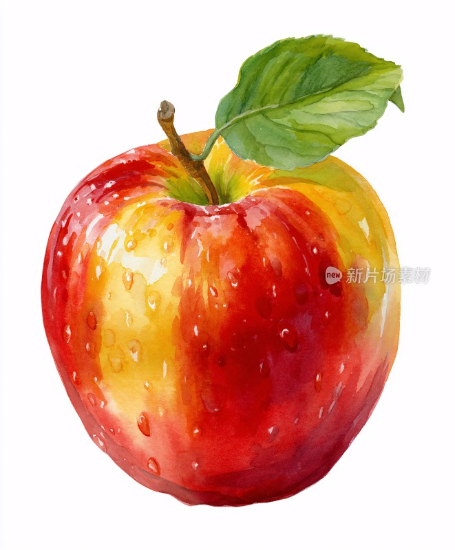 水彩画红苹果