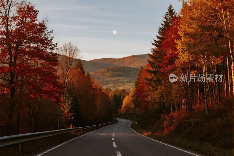 秋日林间公路美景