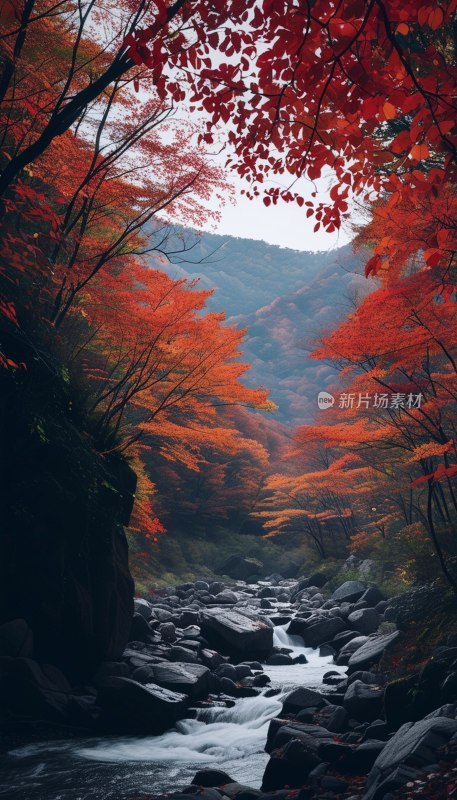 红叶溪谷秋色