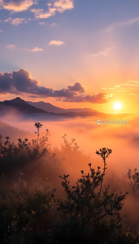 晨曦中的山峦与云海