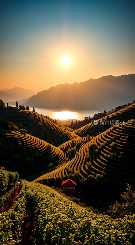 梯田晨曦阳光洒满山谷