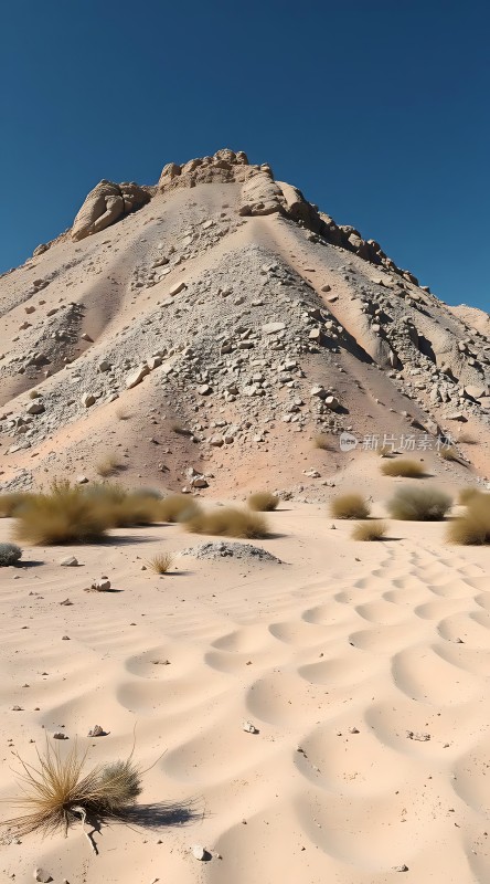 沙丘上的生命之歌