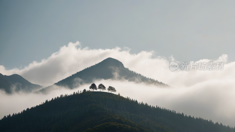 一座山山顶有一棵树风景风光高清图片