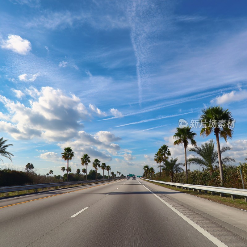 蓝天白云下的公路与棕榈树
