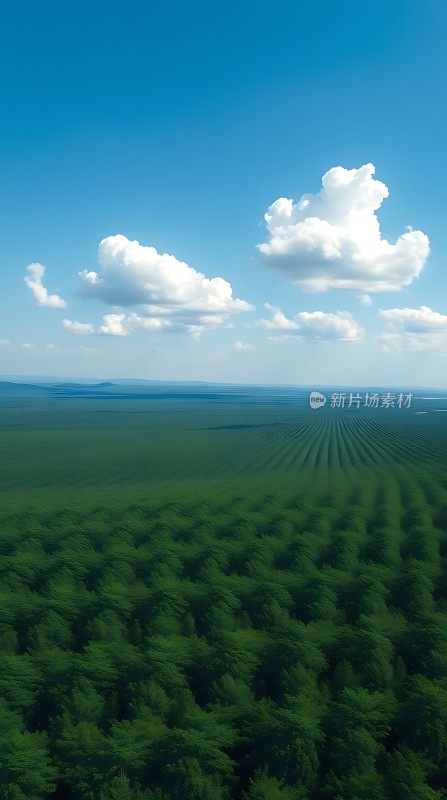 蓝天白云下的绿色田野