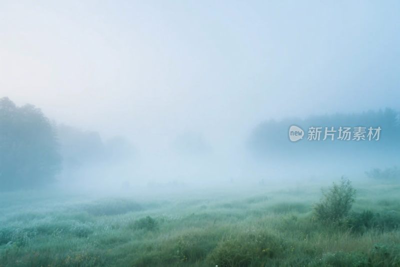 朦胧雾气草原风景