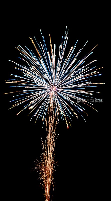 夜空烟花绽放色彩斑斓光芒四射