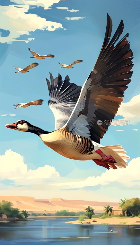 尼罗河鹅飞翔