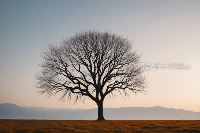 田野高清图片