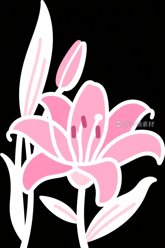 粉色百合花插画