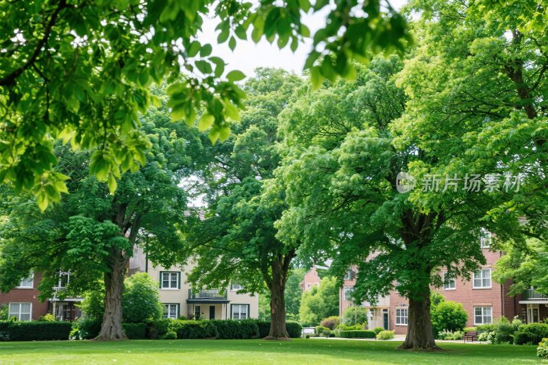 居民区绿化景观