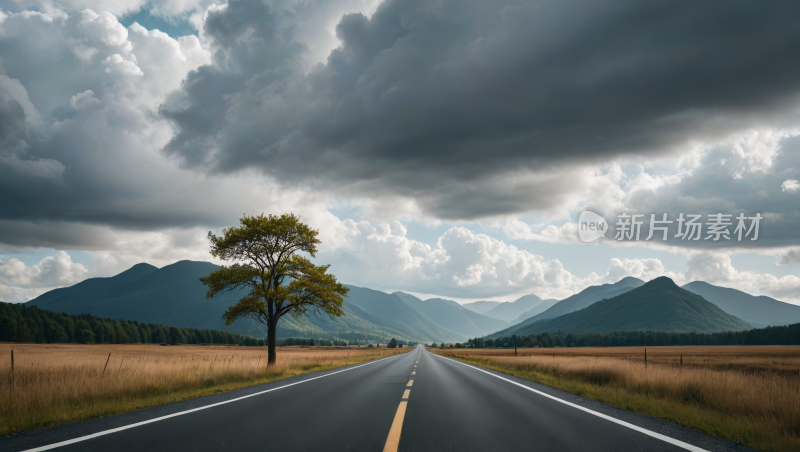 路边的一棵孤树风景风光高清图片