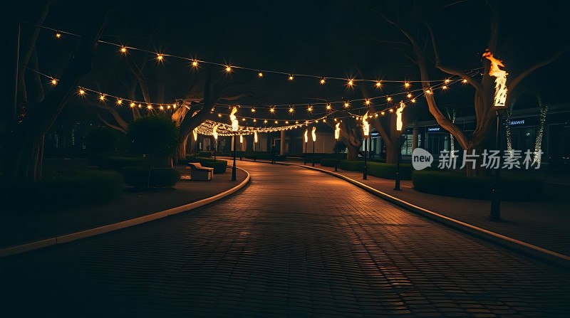 夜色下的温馨小径灯光闪烁宁静而美丽