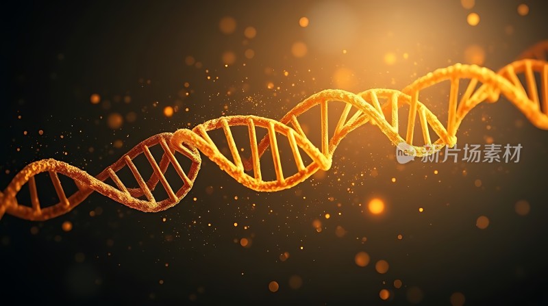 DNA螺旋结构之美