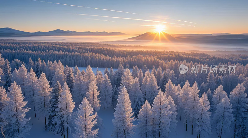 日出雪山森林冬天冰雪覆盖自然风景壁纸