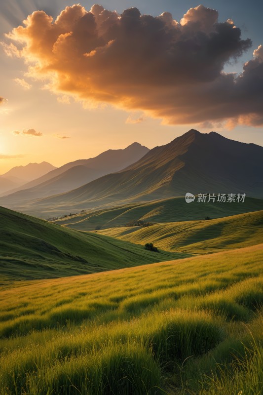 日落时分草地上有远处的山脉图片