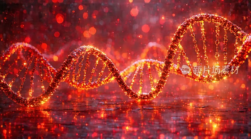 DNA螺旋结构之美