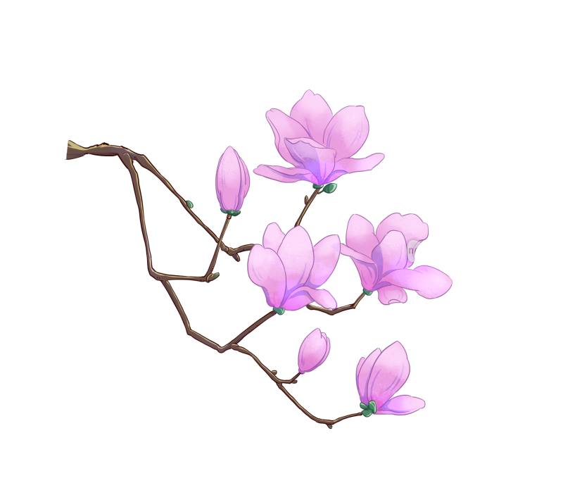 国风玉兰免扣元素