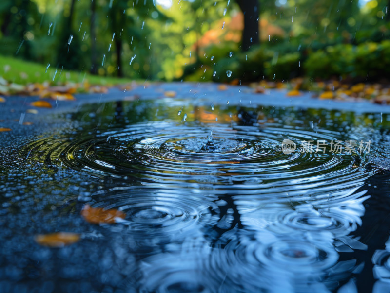 雨天落叶和水面涟漪的自然景象