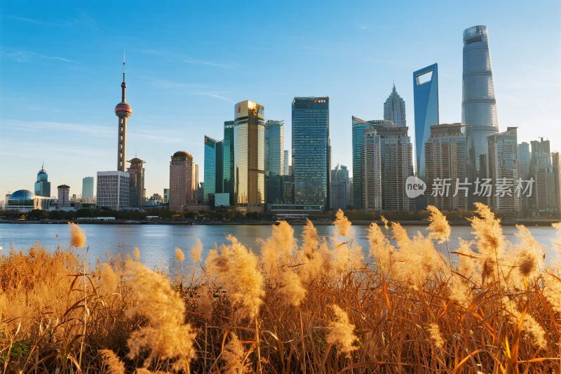 上海外滩城市景观