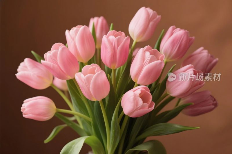 粉色郁金香花束