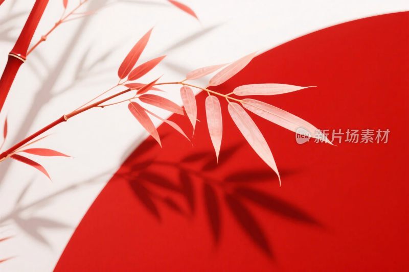 红底竹叶光影画面