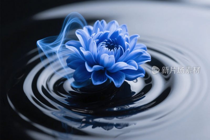 蓝色花卉水面波纹