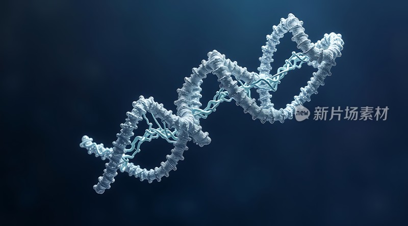 DNA螺旋结构之美