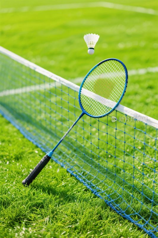 羽毛球器材与场地