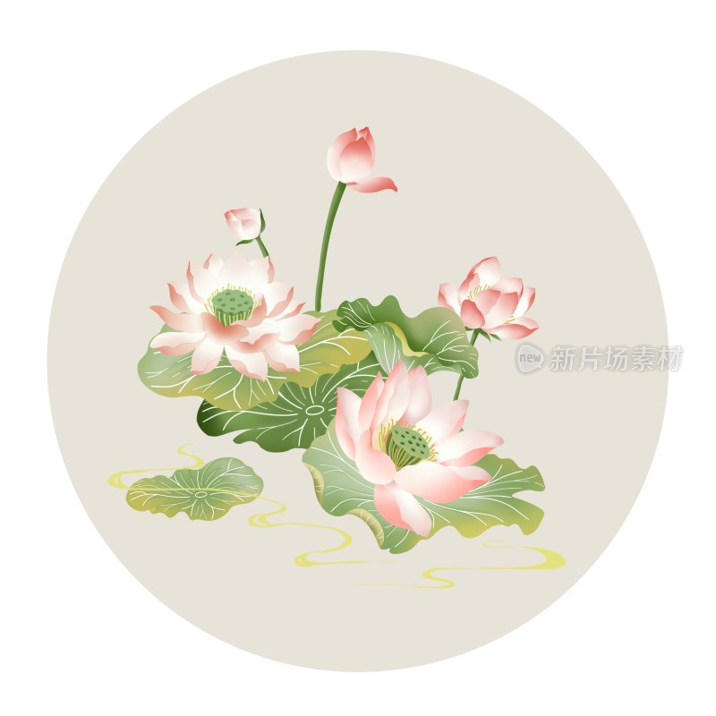 二十四节气插画立夏植物夏季池塘荷花