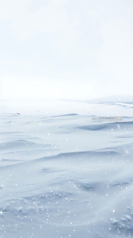 雪原上的宁静之美