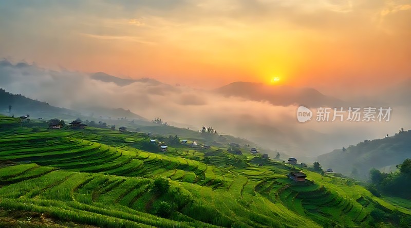 梯田晨曦阳光洒满山谷