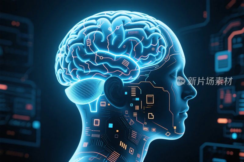 数字化人类头部长脑科技视觉