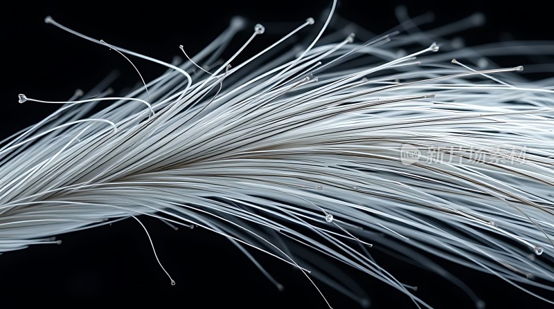 光纤世界探索无限可能