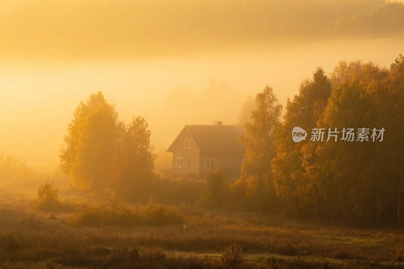 晨雾中的乡村景色