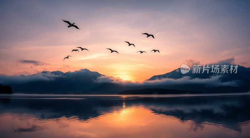 湖畔晨曦群鸟翱翔