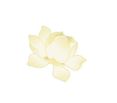 芳香的茉莉花jasmine 芳香的茉莉花jasmine