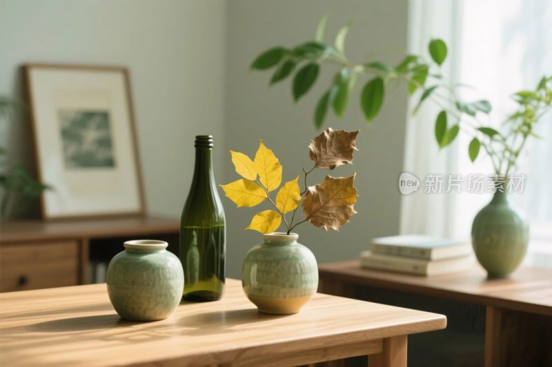 室内植物装饰布置