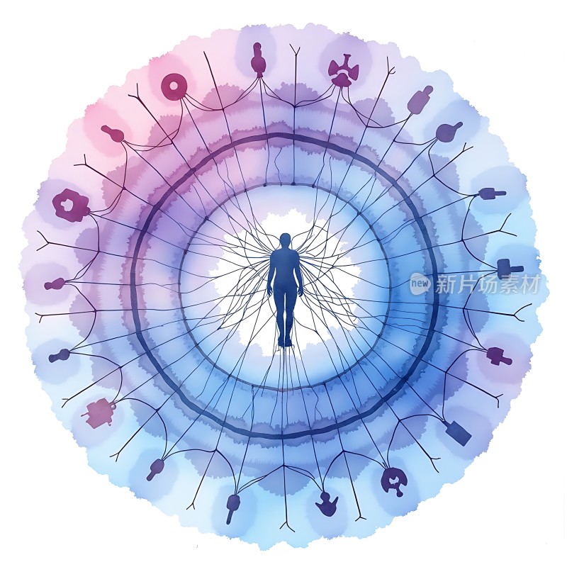 心灵之网连接与探索