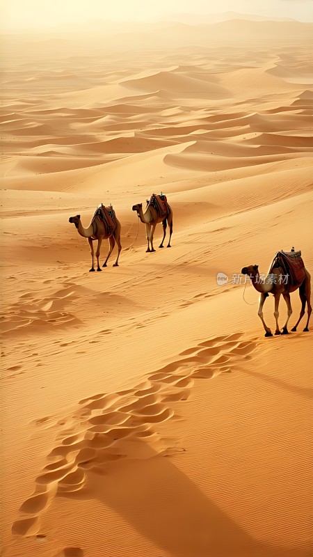 驼队穿越金色沙漠