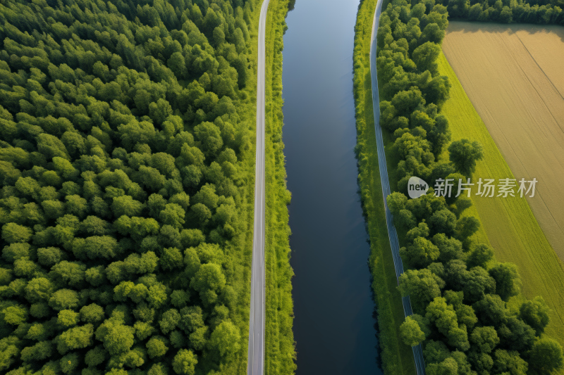 一条河流穿过郁郁葱葱的绿色森林风景图片