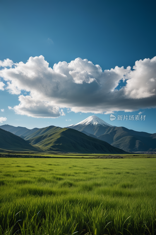 蓝天白天草原草地风景自然风光图片