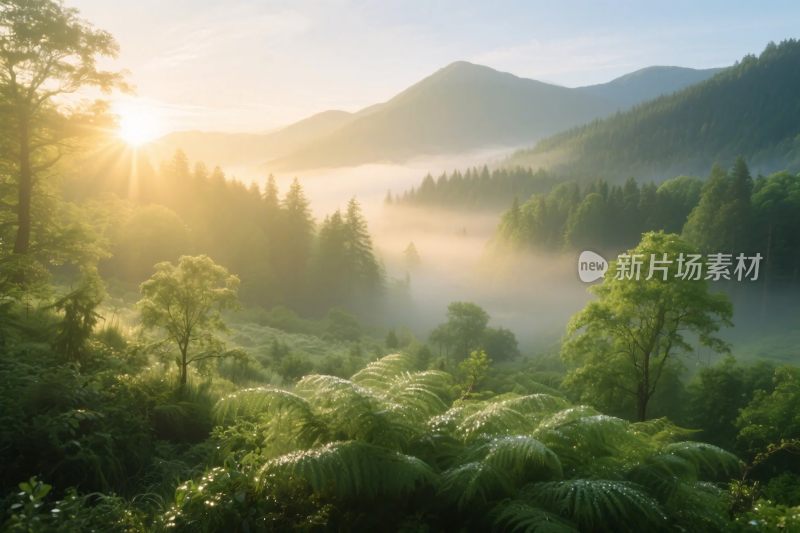 山林日出自然风光